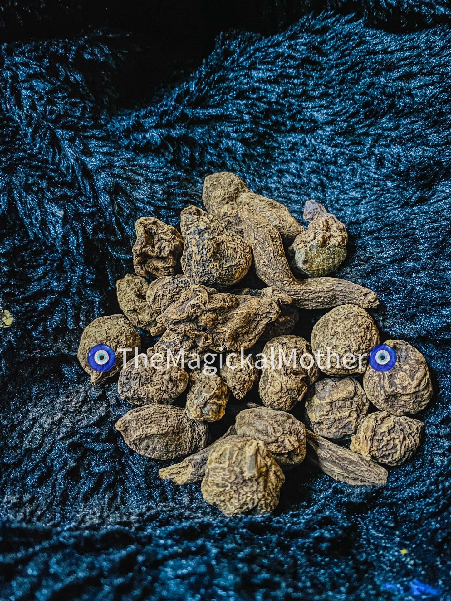 High John The Conqueror Root